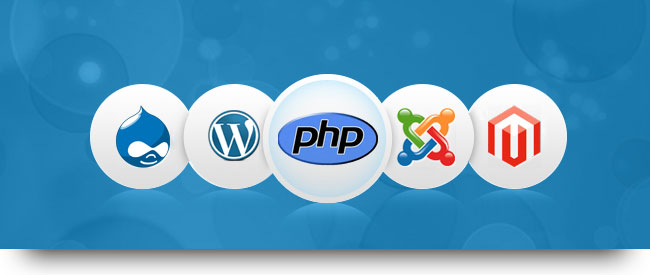 PHP Development Company India | Leo IT Hub